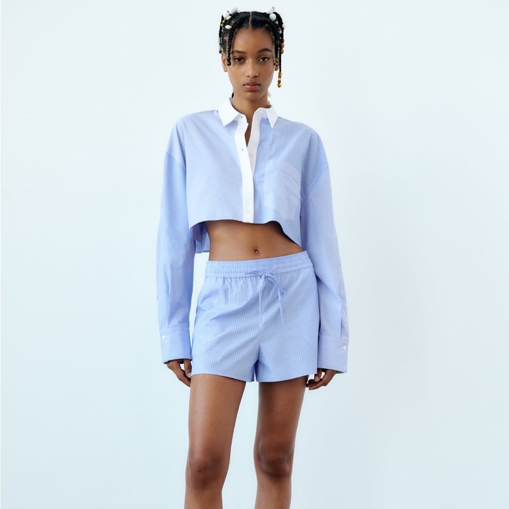 Zara crop top